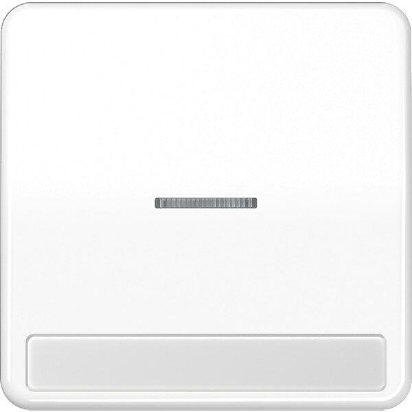 JUNG Wippe Licht./Schriftf.aws für Taster CD 590 NAKO5 WW